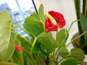 DSCN1581